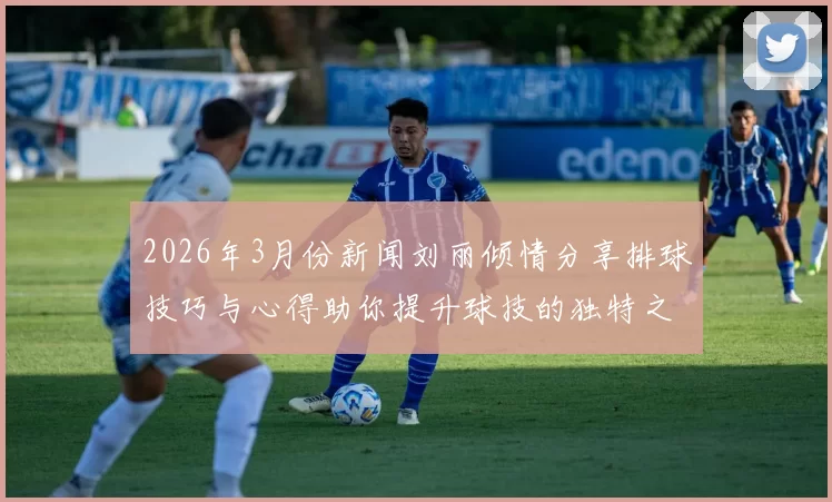 2026年3月份新闻刘丽倾情分享排球技巧与心得助你提升球技的独特之路