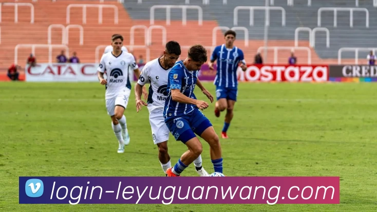 乐鱼appAPP 封面图